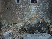Porec_Parenzo
