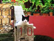 Piran