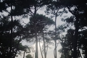 Istra