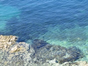 Zelena laguna