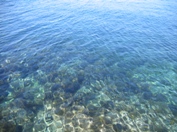 Zelena laguna