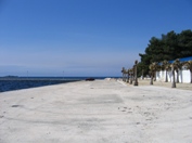 Zelena laguna