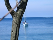 Zelena laguna