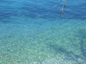 Zelena laguna