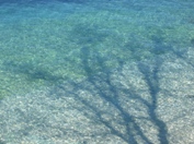 Zelena laguna