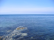 Zelena laguna