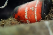 selo
