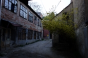 Vlaska